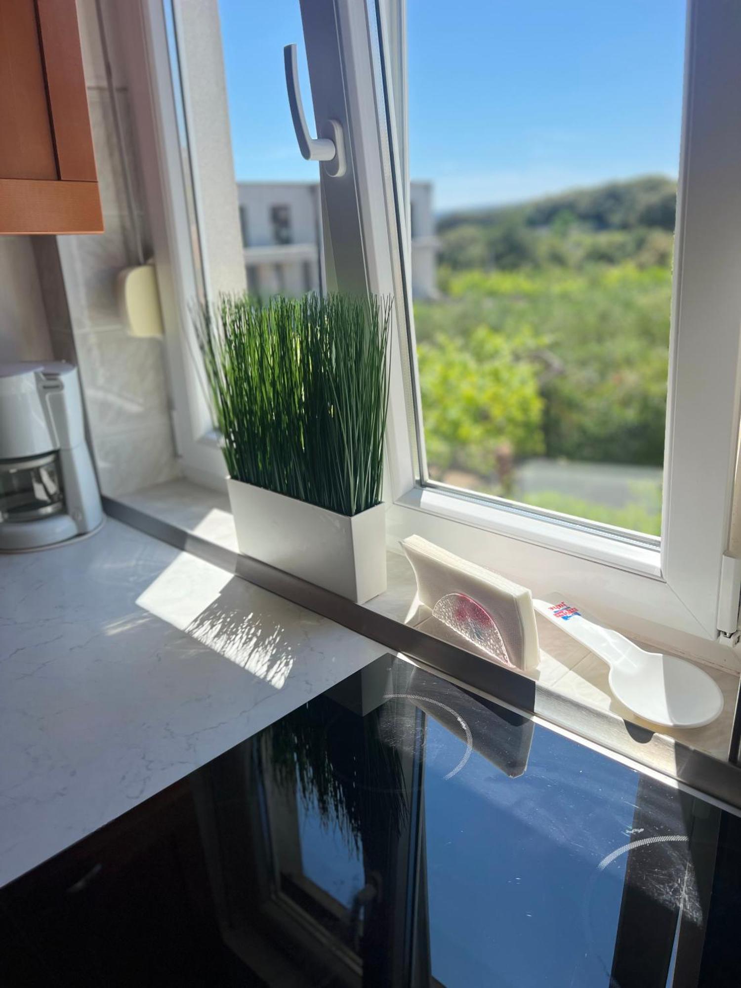 Appartement Apartma Tina